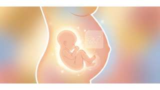 怀孕8个月胎儿大小标准是多少？看懂这份怀孕8个月胎儿大小图片解析